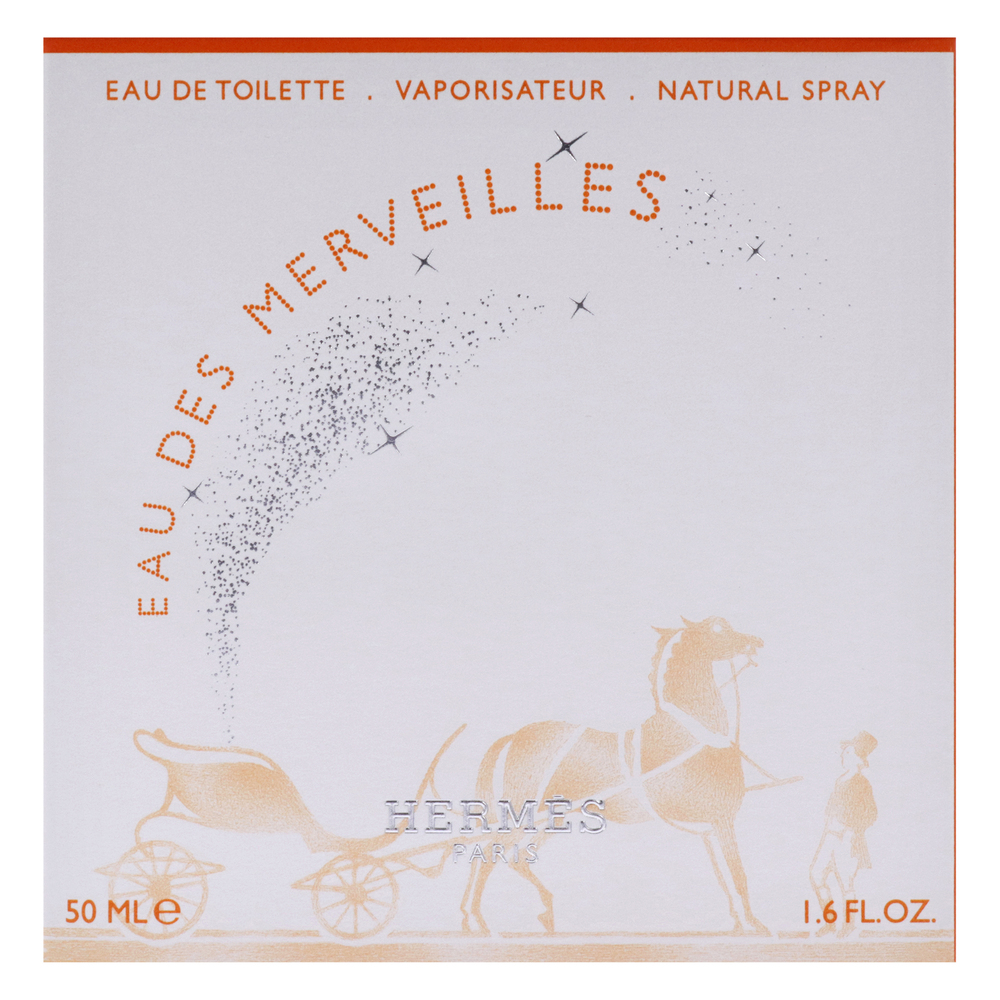 Eau Des Merveilles BY Hermes for Women 1.6 oz EDT Spray - Picture 5 of 8